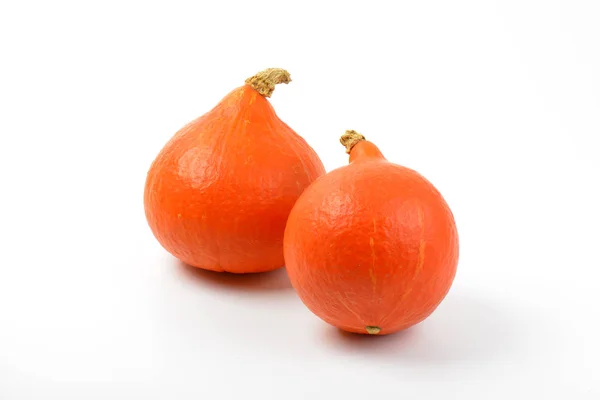 Małe pomarańczowe dynie — Zdjęcie stockowe