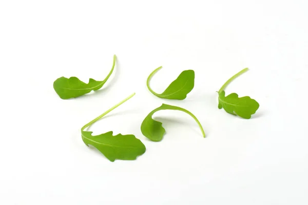Свежие листья рукколы — стоковое фото