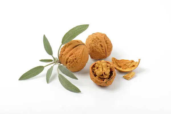 Walnuts and fresh sage — Stock Photo, Image