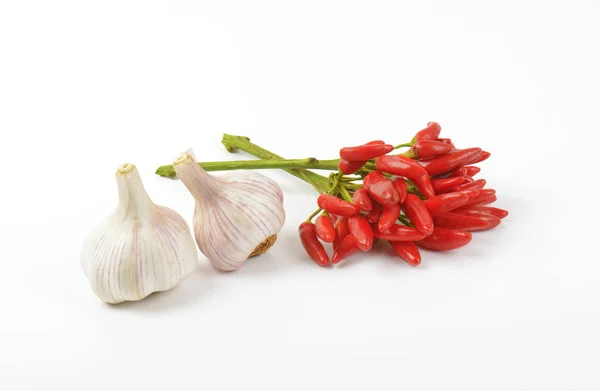 Chiles rojos y ajo — Foto de Stock
