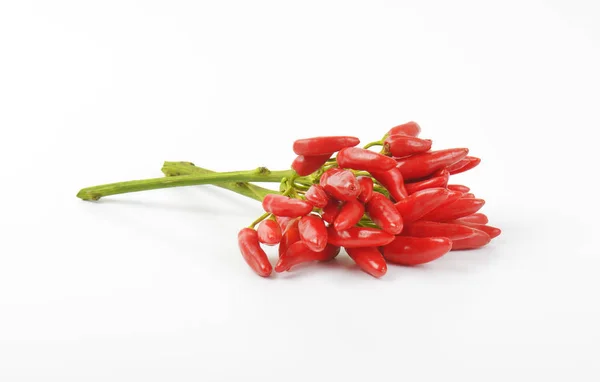 Fresh tabasco peppers — Stock Photo, Image