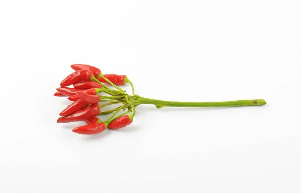 Fresh tabasco peppers — Stock Photo, Image