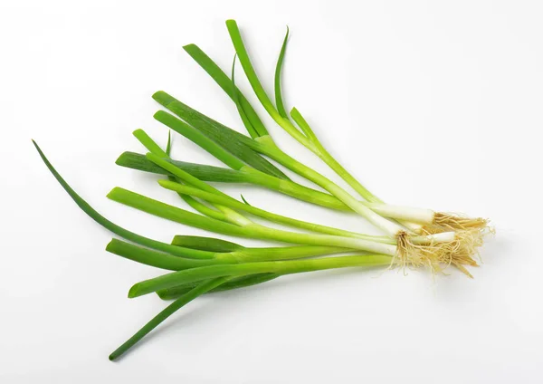 Fresh green onions — Stock Photo, Image