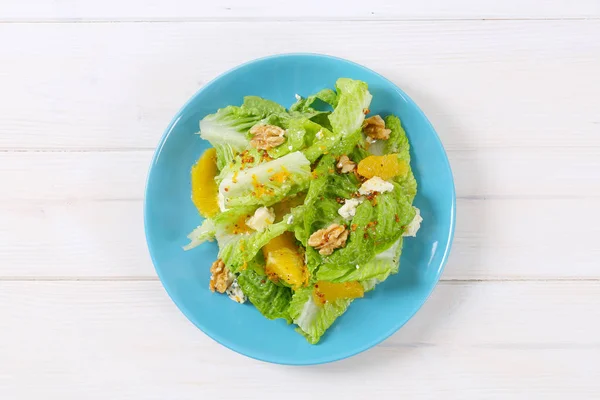 Çince lahana salatası — Stok fotoğraf