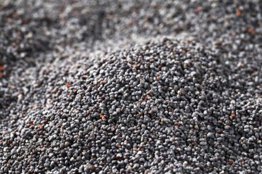 Siyah haşhaş tohumu arka plan