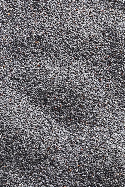 Whole black poppy seeds background — Stock Photo, Image