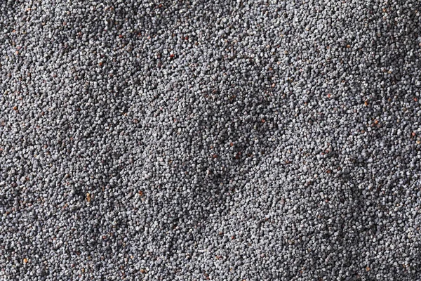 Whole black poppy seeds background — Stock Photo, Image