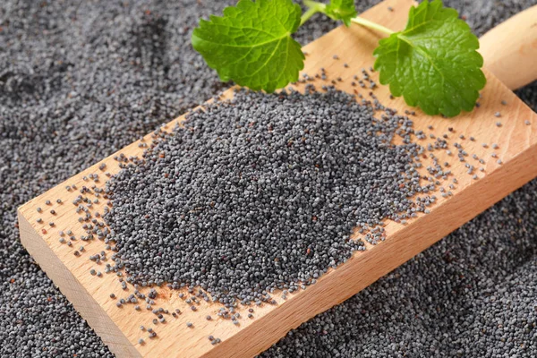Целые семена черного мака — стоковое фото
