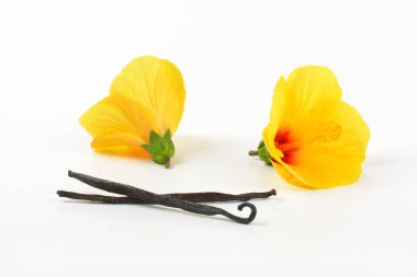 Hibiscus çiçek ve vanilya pods