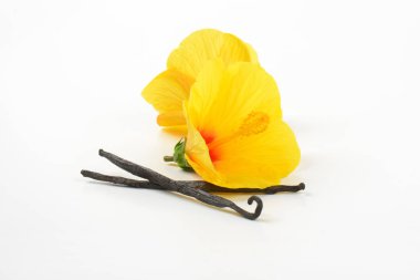Hibiscus çiçek ve vanilya pods