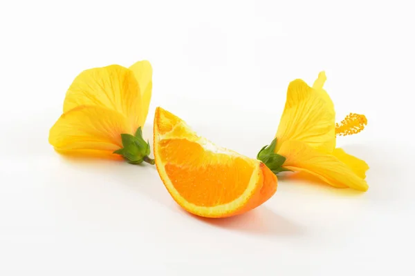 Цветы гибискуса и ломтик апельсина — стоковое фото