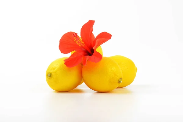 Kırmızı hibiscus bloom ile olgun limon — Stok fotoğraf