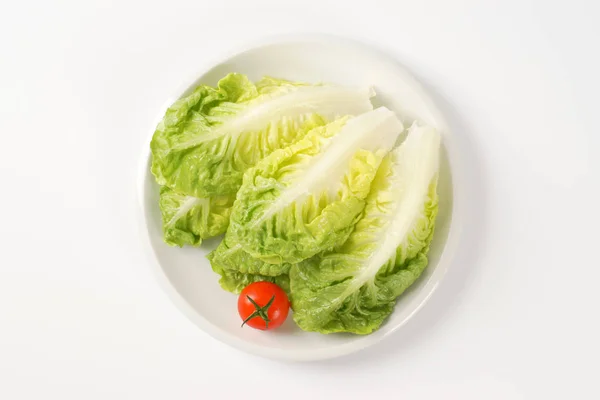 Lilla pärla sallad — Stockfoto