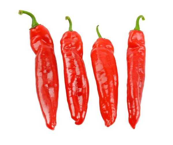 Čtyři červené papriky — Stock fotografie