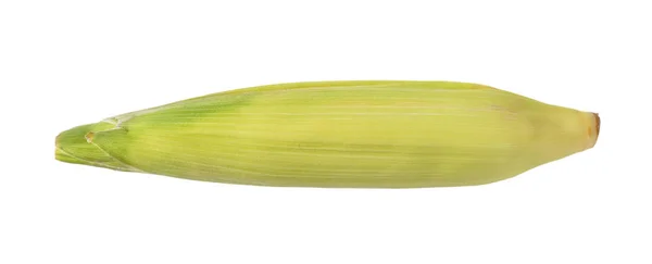 Friss kukorica fül — Stock Fotó