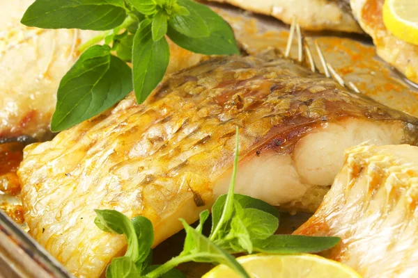 Fırında pişmiş sazan balığı filetosu — Stok fotoğraf