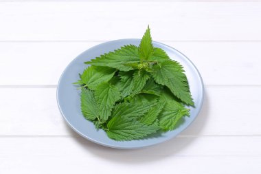 Taze ısırgan yaprakları