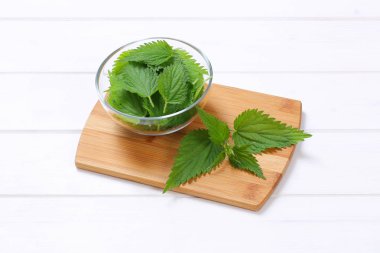 Taze ısırgan yaprakları