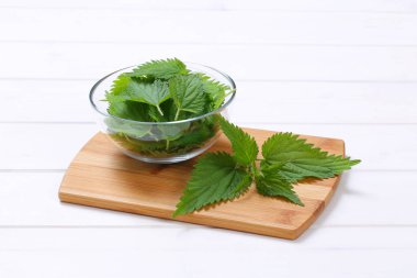 Taze ısırgan yaprakları