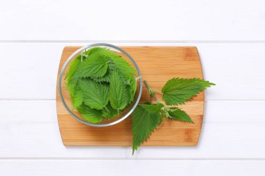 Taze ısırgan yaprakları