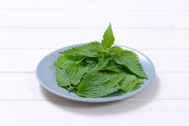 Taze ısırgan yaprakları