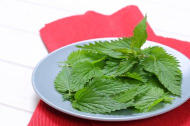 Taze ısırgan yaprakları