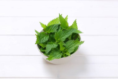 Taze ısırgan yaprakları