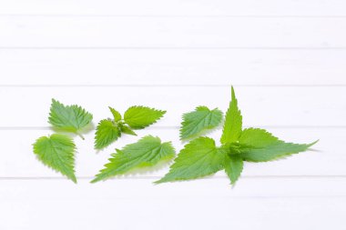 Taze ısırgan yaprakları