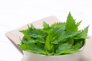 Taze ısırgan yaprakları