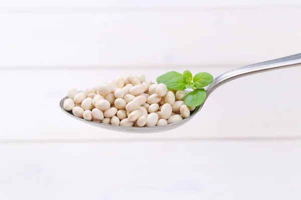 Raw white beans — Stock Photo, Image