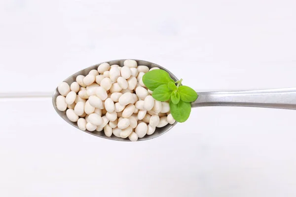 Raw white beans — Stock Photo, Image