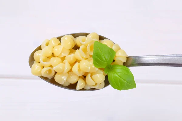 Kleine pasta schelpen — Stockfoto
