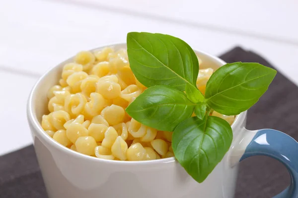 Piccoli gusci di pasta — Foto Stock