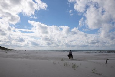 Kumsalda köpeği olan bir adam.