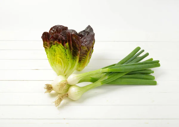 Cebolla de primavera y lechuga — Foto de Stock