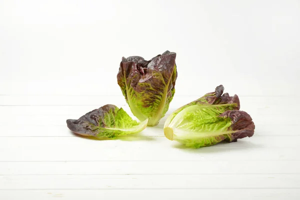 Färska romansallad — Stockfoto