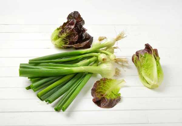 Frühlingszwiebeln und Salat — Stockfoto