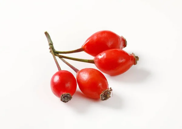 Ripe rose hips — Stock Photo, Image