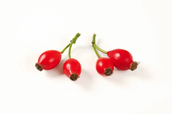 Ripe rose hips — Stock Photo, Image