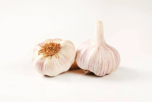 Two bulbs of garlic — Stock Photo, Image