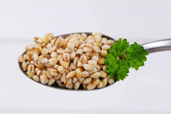 Cooked pearl barley — Stock Photo, Image