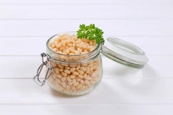 흰 콩 통조림 — 스톡 사진