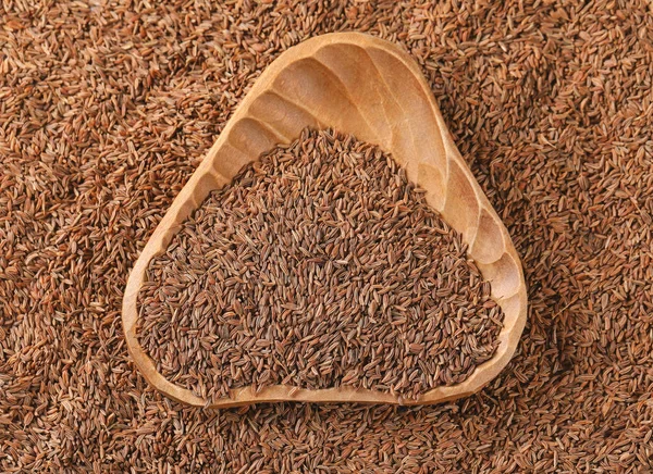 Чаша семян Карауэй — стоковое фото