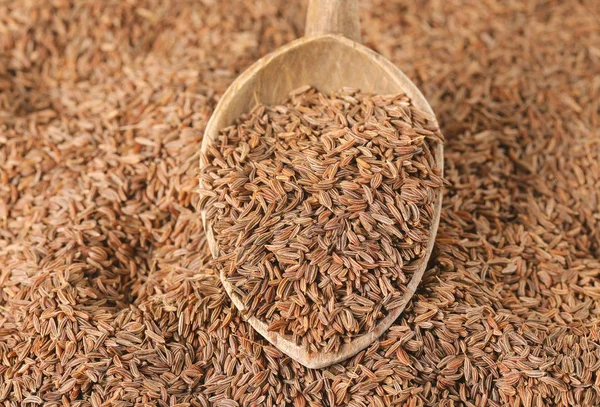 Łyżeczka nasion kminku — Zdjęcie stockowe