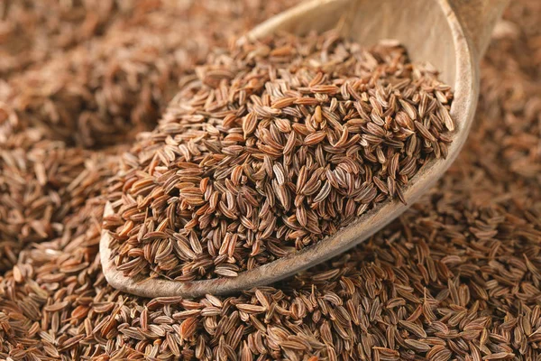 Cuchara de semillas de alcaravea —  Fotos de Stock