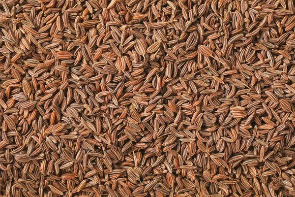 Detail of caraway seeds — Stock Photo, Image
