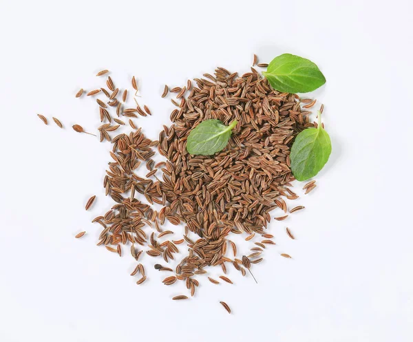 Garść nasion kminku — Zdjęcie stockowe