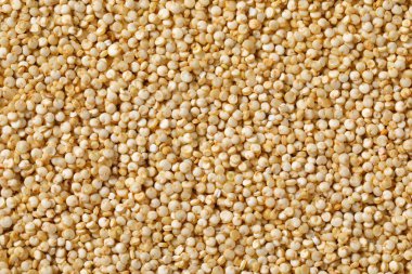 Beyaz quinoa tohumları