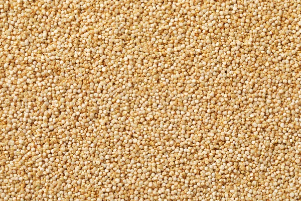 Weiße Quinoa-Samen — Stockfoto