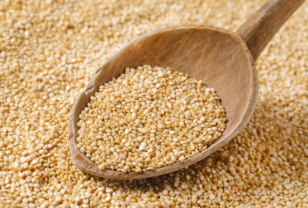 Fehér quinoa seeds — Stock Fotó